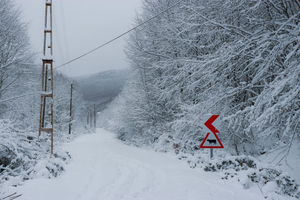 Zdjęcie do artykułu: Alarmy pogodowe i ekstremalne zjawiska – aktualna sytuacja