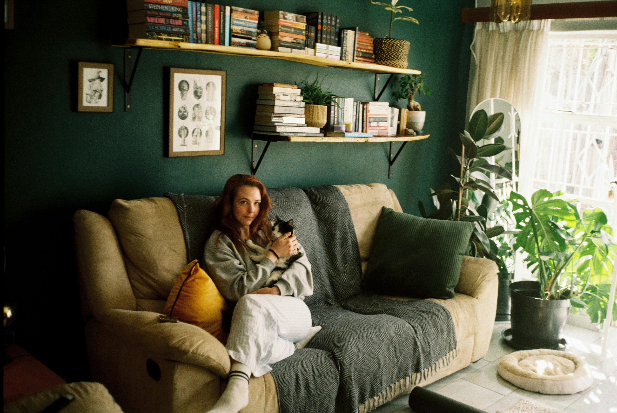 Kot a rośliny doniczkowe – które są bezpieczne, a które trujące Zdjęcie do artykułu: Kot a rośliny doniczkowe – które są bezpieczne, a które trujące